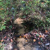 Review photo of Kolomoki Mounds State Park Campground by Phil K., October 25, 2020