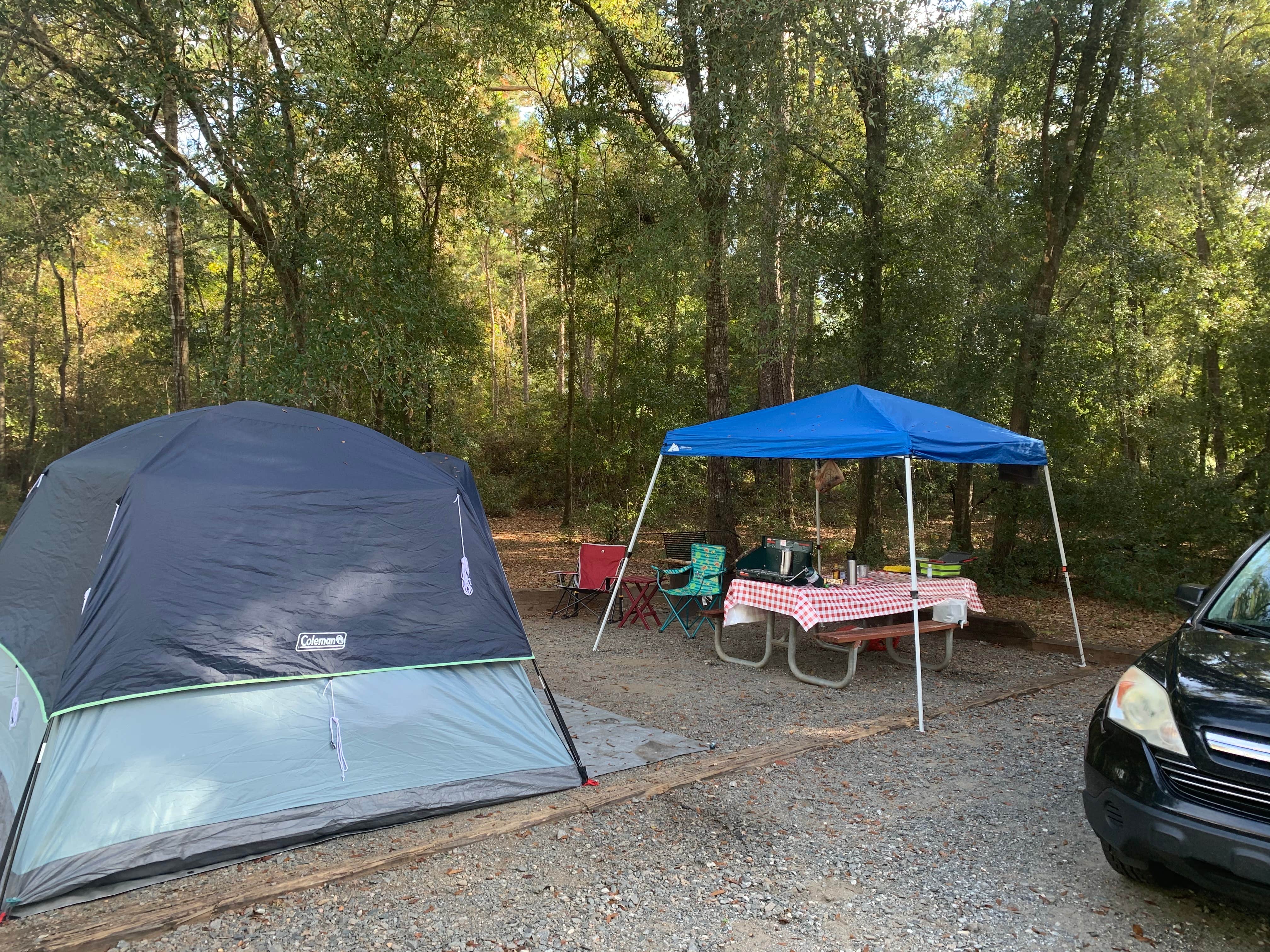 Phil K.'s photo at Kolomoki Mounds State Park Campground near Clopton, AL