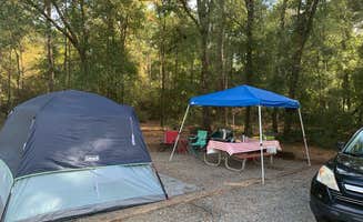 Phil K.'s photo at Kolomoki Mounds State Park Campground near Walter F. George Lake