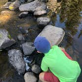 Review photo of Las Conchas Trailhead - Primitive Climber's Camp by Katriza L., October 25, 2020