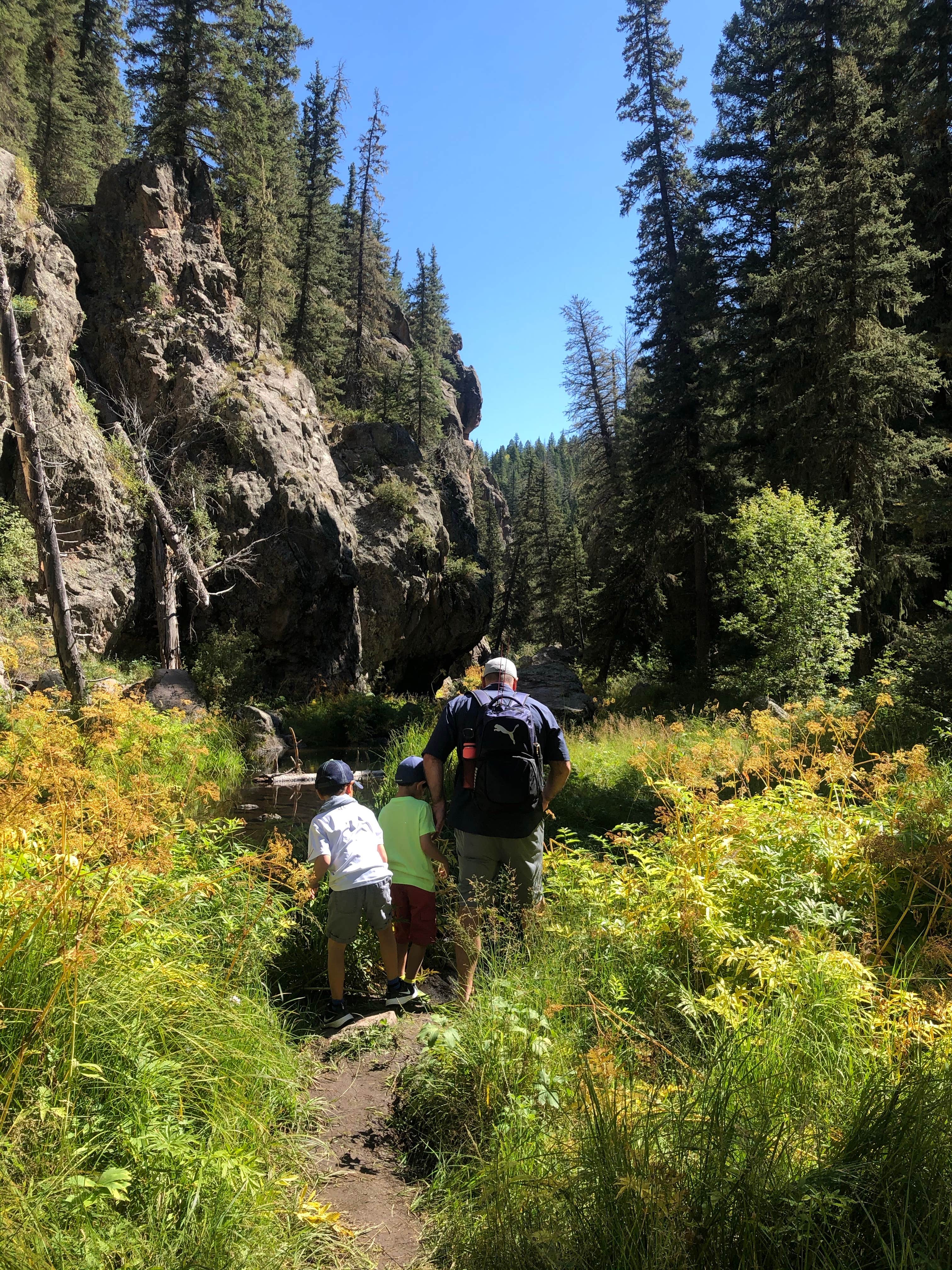 Camper submitted image from Las Conchas Trailhead - Primitive Climber's Camp - 5