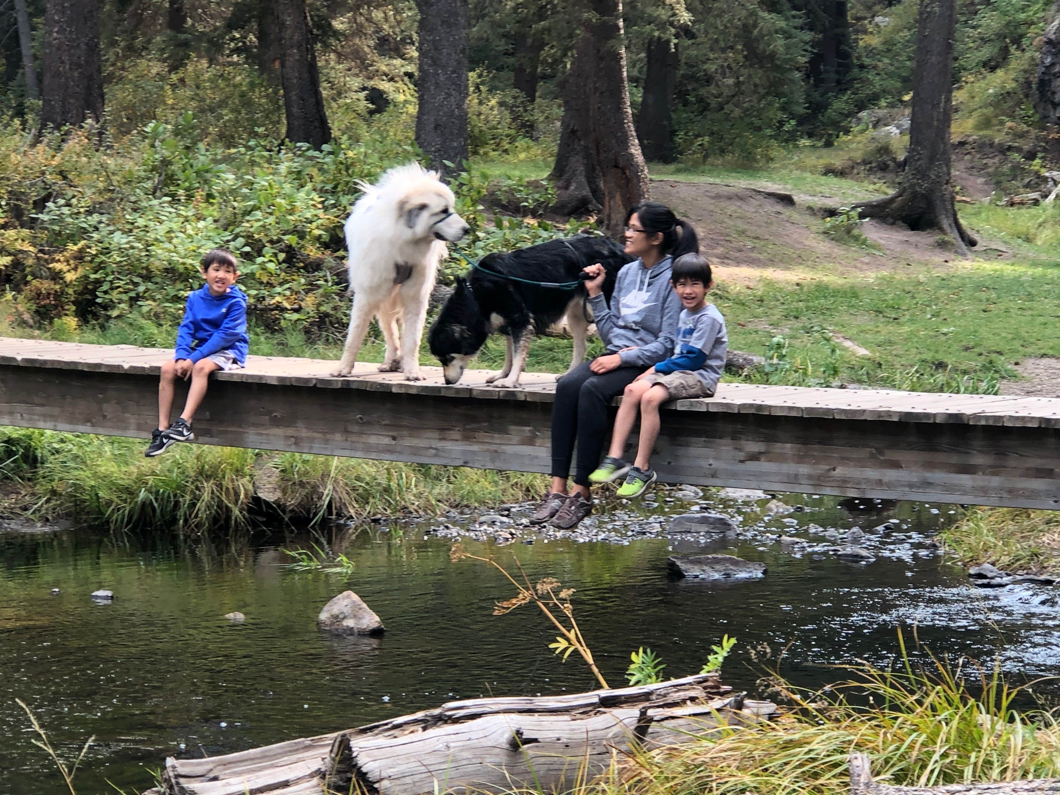 Katriza L.'s photo of camping with pets at Las Conchas Trailhead - Primitive Climber's Camp near Jemez Springs, NM