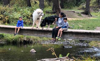 Katriza L.'s photo of camping with pets at Las Conchas Trailhead - Primitive Climber's Camp near Cuba, NM