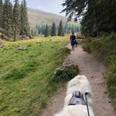 Review photo of Las Conchas Trailhead - Primitive Climber's Camp by Katriza L., October 25, 2020