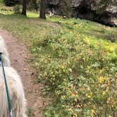 Review photo of Las Conchas Trailhead - Primitive Climber's Camp by Katriza L., October 25, 2020