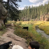 Review photo of Las Conchas Trailhead - Primitive Climber's Camp by Katriza L., October 25, 2020