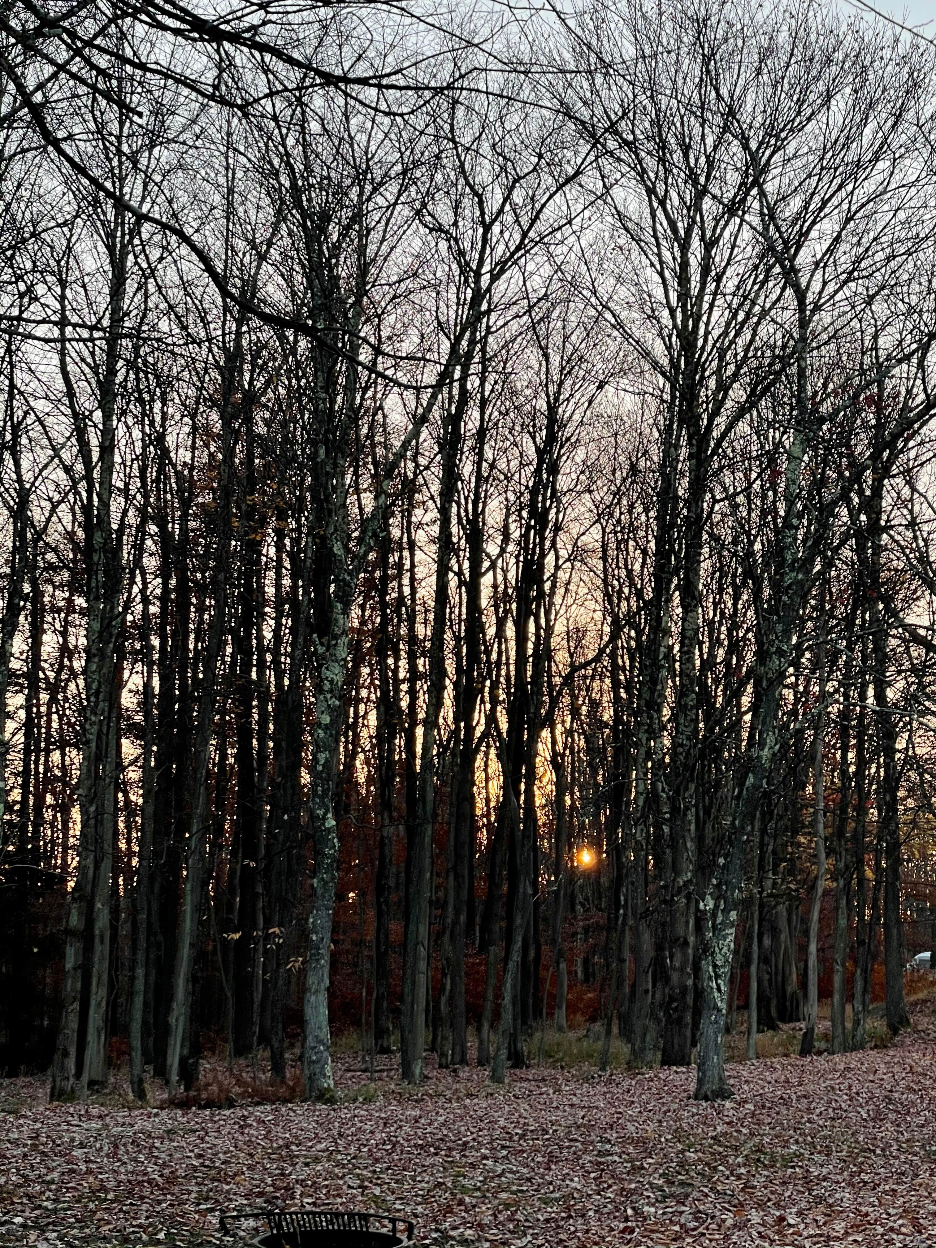 Camper-submitted photo at Blackwater Falls State Park Campground near Glady, WV