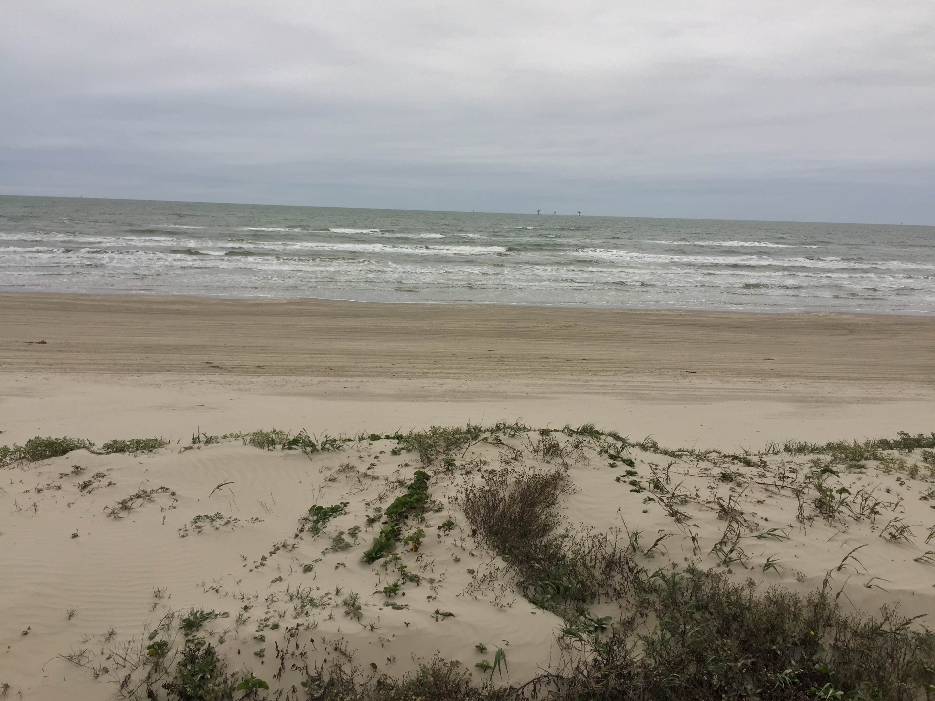 Camper submitted image from Gulf Waters Beach Front RV Resort - 3