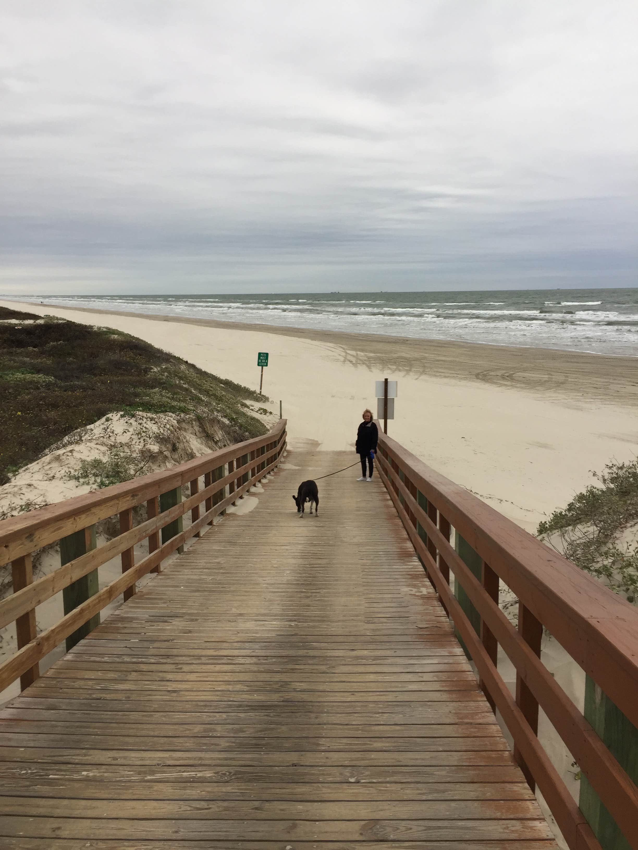 Camper submitted image from Gulf Waters Beach Front RV Resort - 4