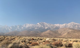 Camping near Inyo / Lower Grays Meadow Campground: Symmes Creek, Seven Pines, California