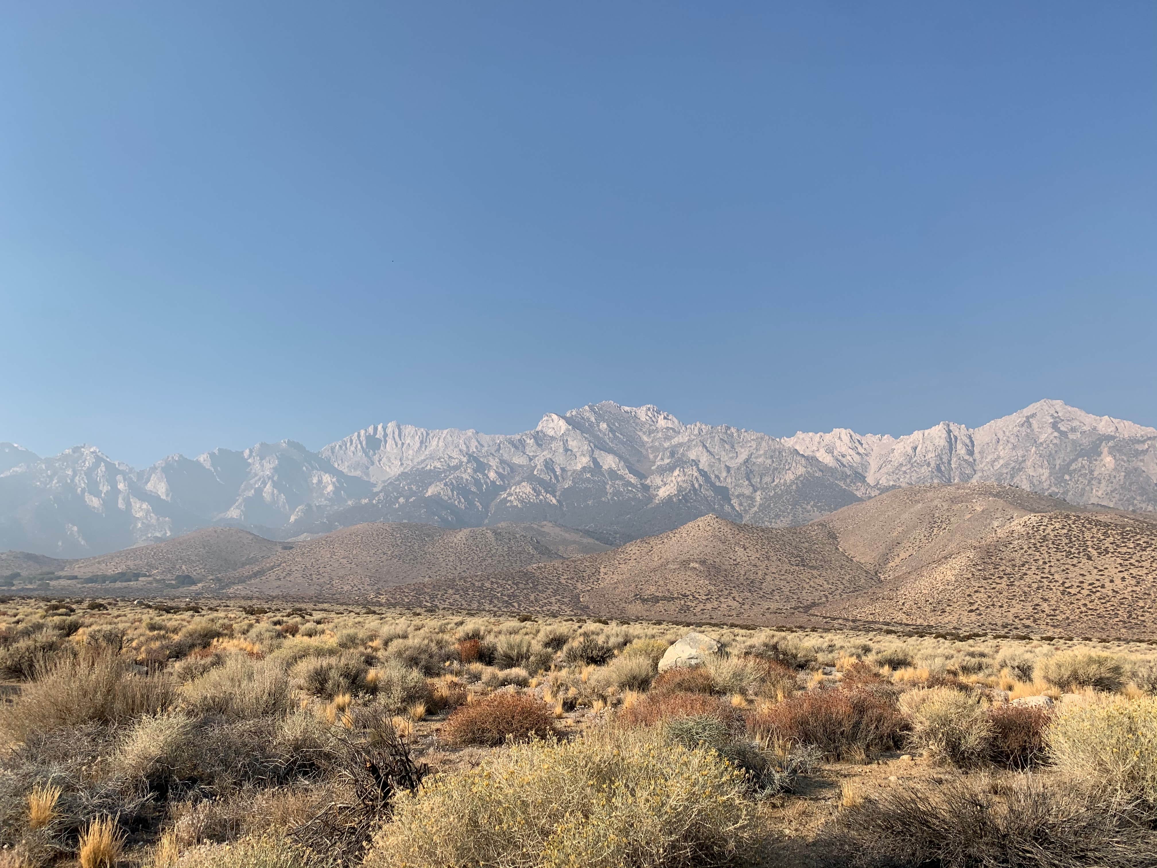 Camper-submitted photo at Symmes Creek near Independence, CA