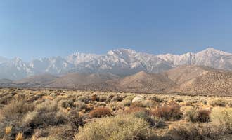 Camping near Inyo / Lower Grays Meadow Campground: Symmes Creek, Seven Pines, California