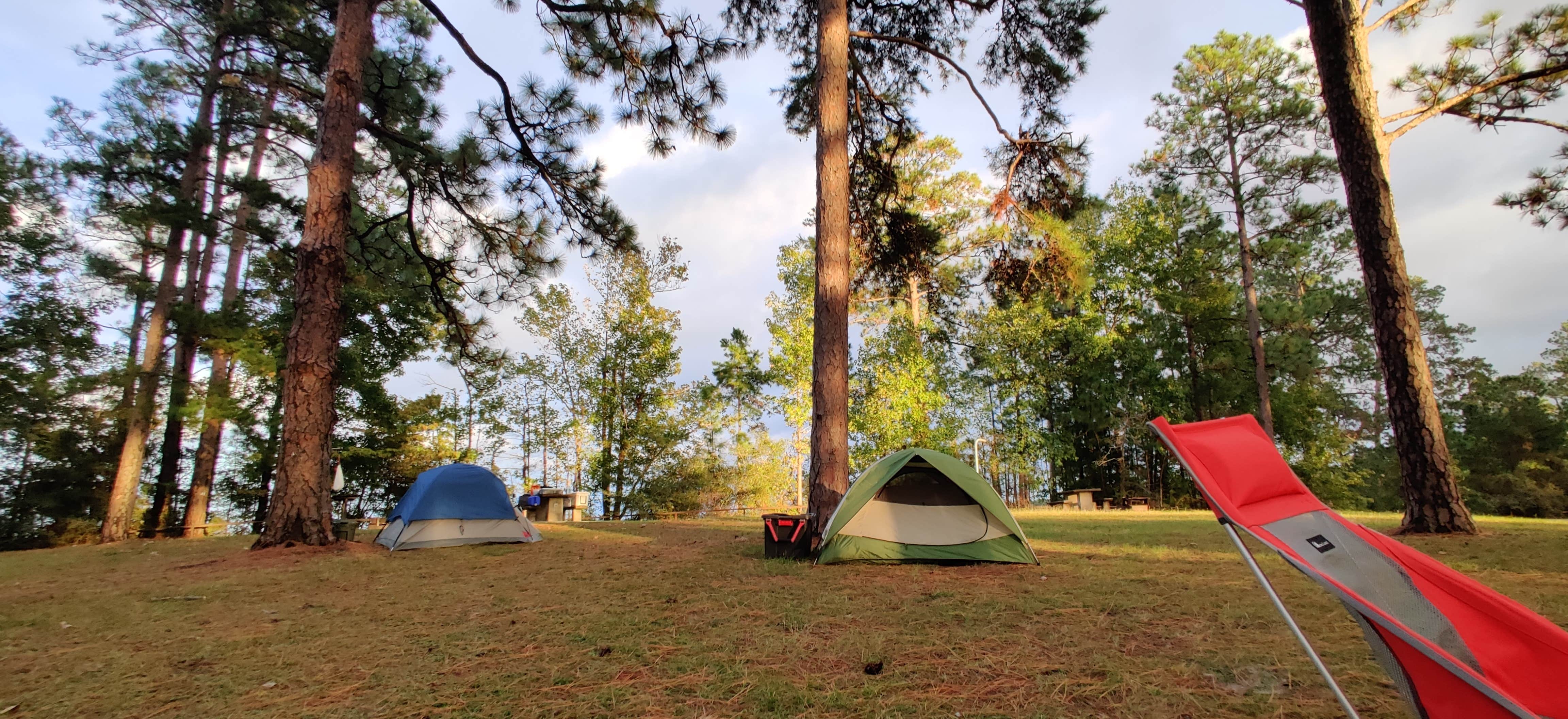 Camper submitted image from Ebenezer Park - 5