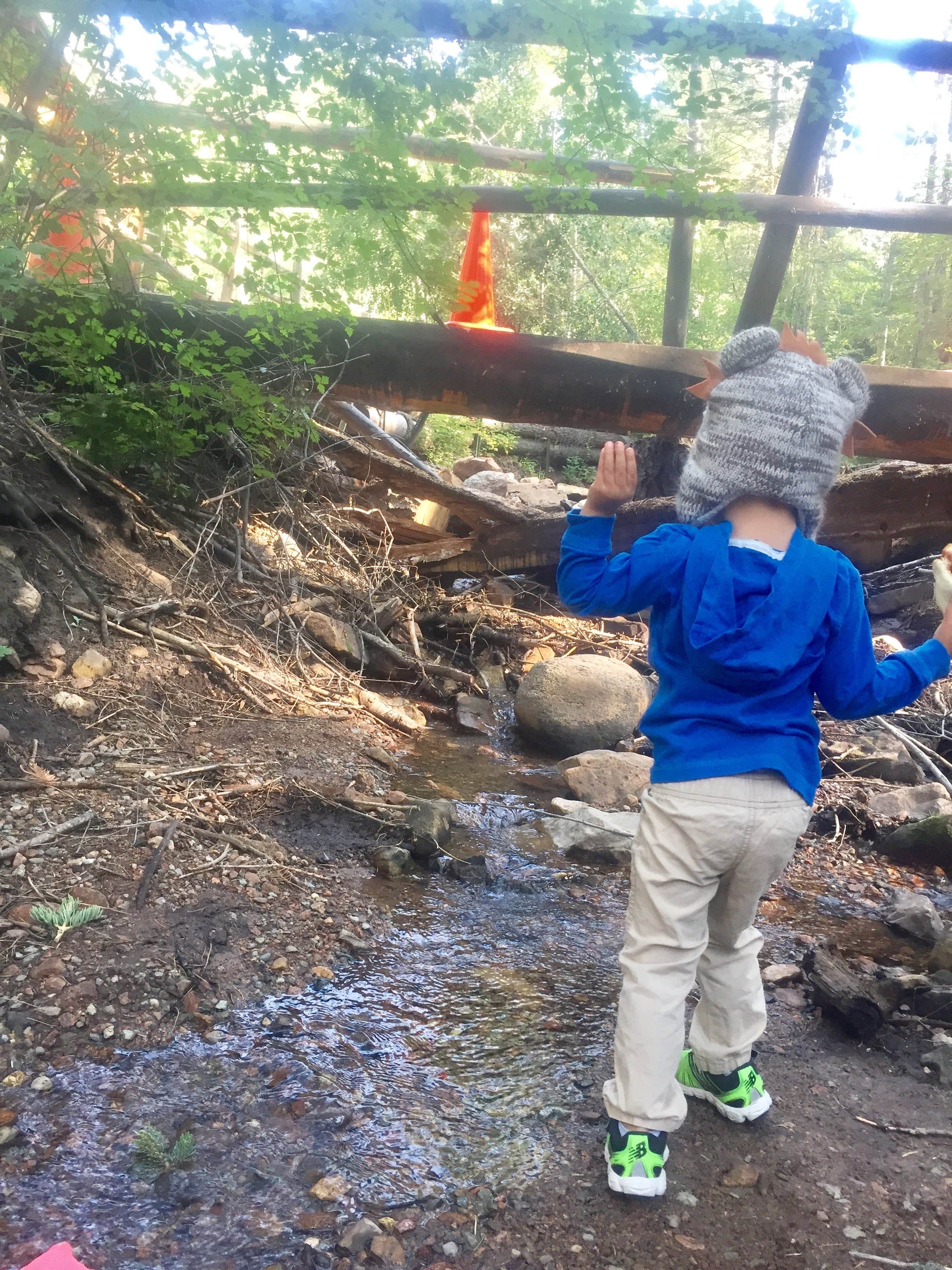 Camping near Santa Fe KOA: Hyde Memorial State Park Campground, Tesuque, New Mexico