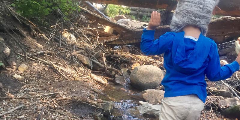 Camper submitted image from Hyde Memorial State Park Campground