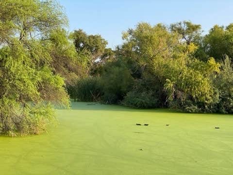 Camper submitted image from Prince of Tucson RV Park - 5