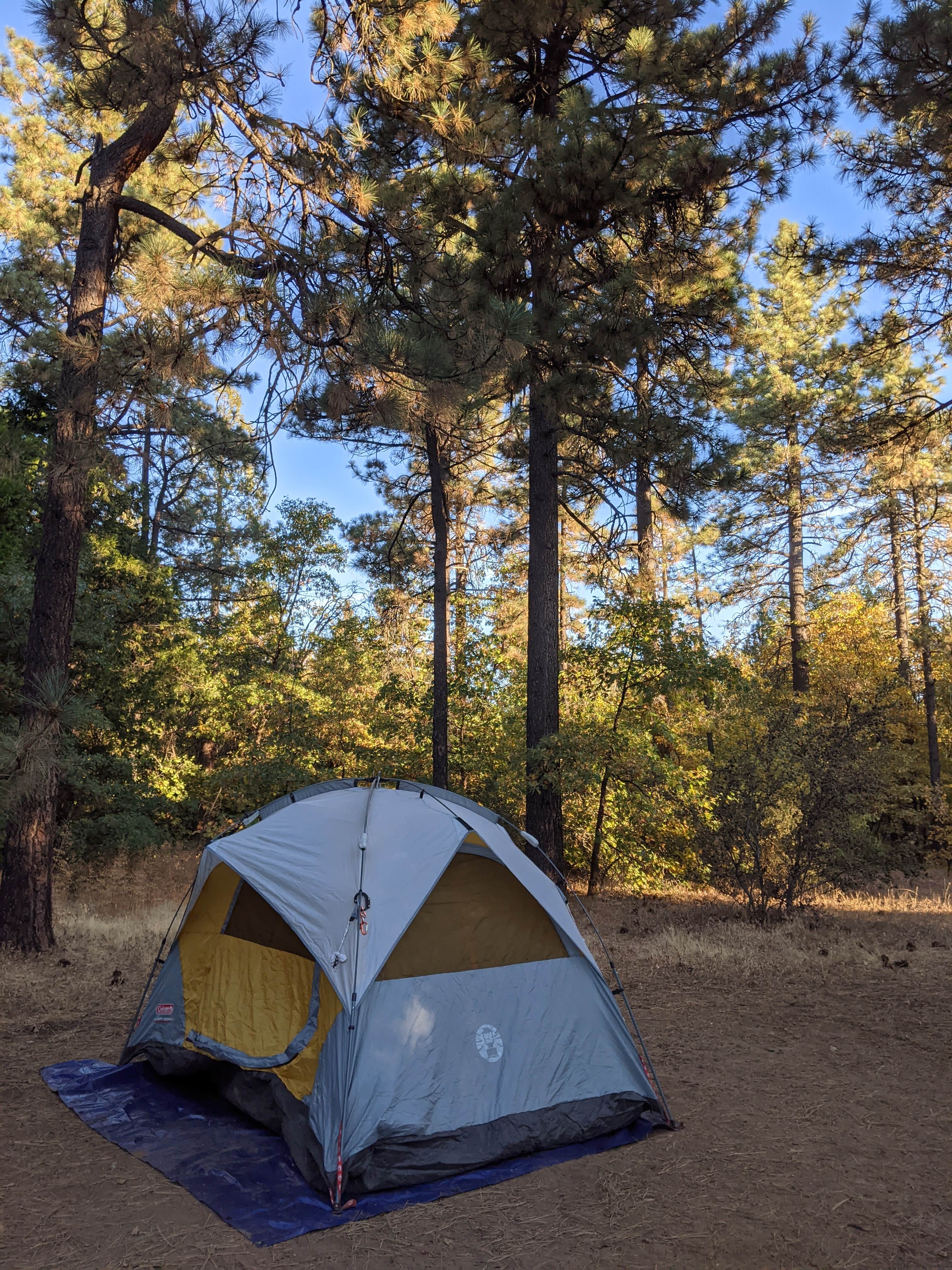 Jonathan G.'s photo at Burnt Rancheria Campground near Ocotillo, CA