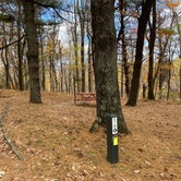 Review photo of Rocky Knob Campground — Blue Ridge Parkway by Cortney , October 25, 2020