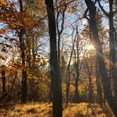 Review photo of Rocky Knob Campground — Blue Ridge Parkway by Cortney , October 25, 2020