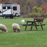 Review photo of Mountainview Campground by Jami , October 25, 2020