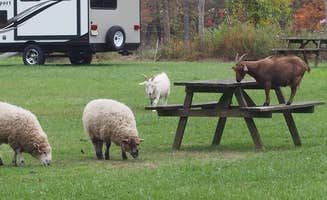Jami's photo of rv camping at Mountainview Campground near Washington, NJ