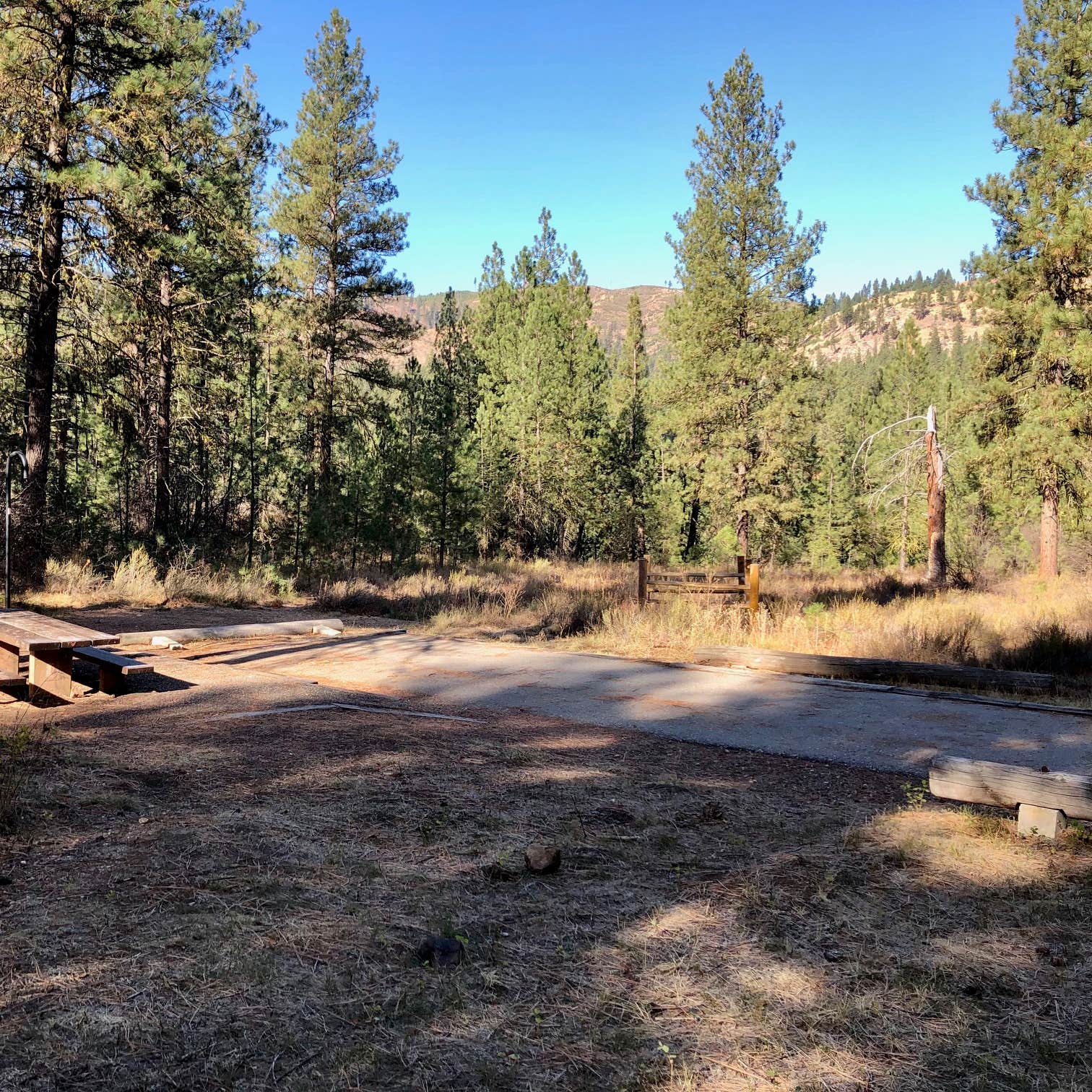 Grayback Gulch Campground Camping | The Dyrt