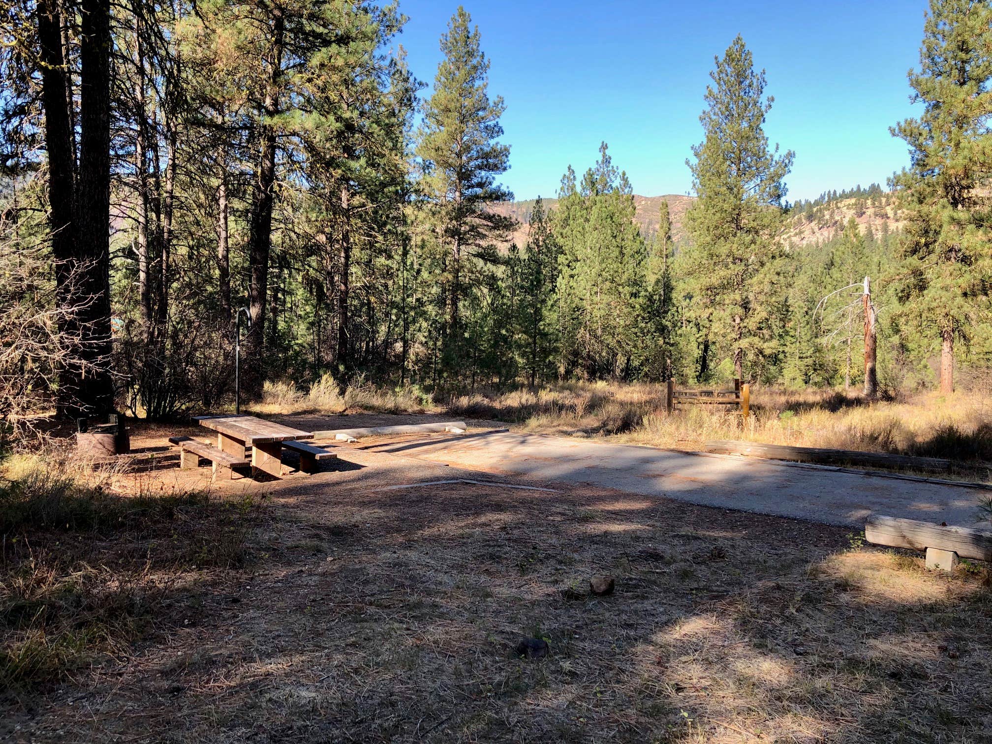 Camper submitted image from Grayback Gulch Campground - 2