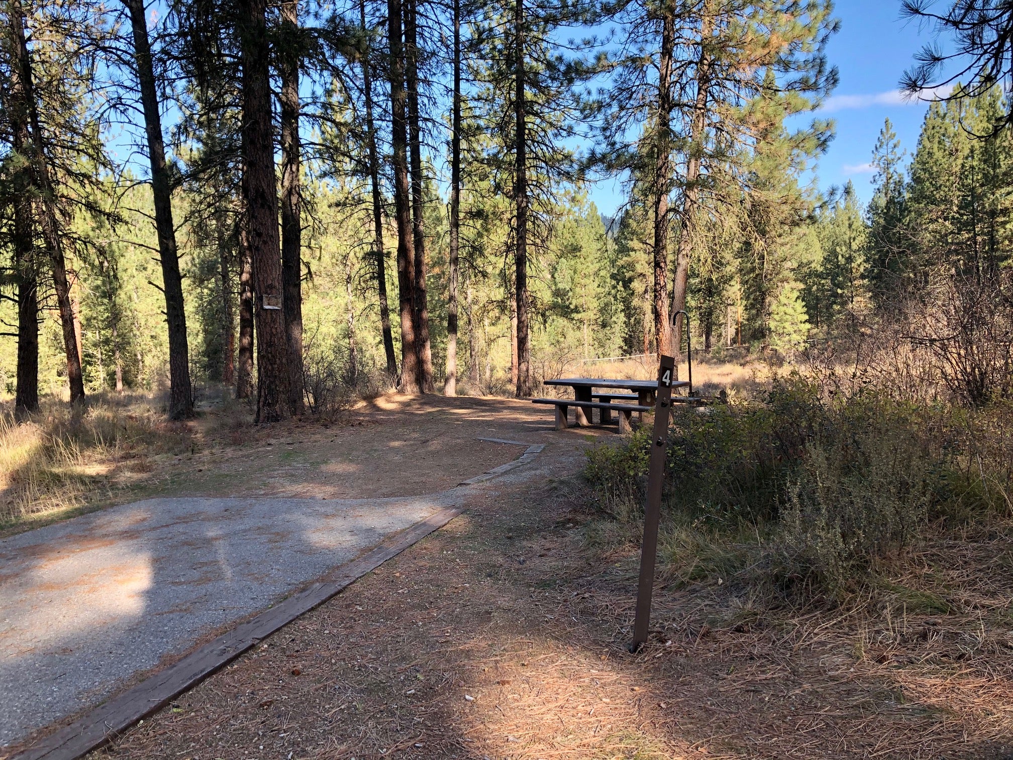 Camper submitted image from Grayback Gulch Campground - 4