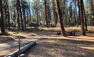 Camping near Cowboy Campground: Grayback Gulch Campground, Idaho City, Idaho