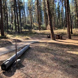 Grayback Gulch Campground