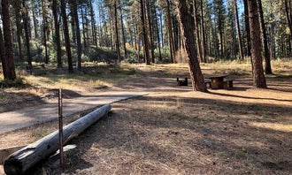 Camping near Grayback: Grayback Gulch Campground, Idaho City, Idaho