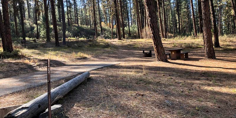 Camper submitted image from Grayback Gulch Campground