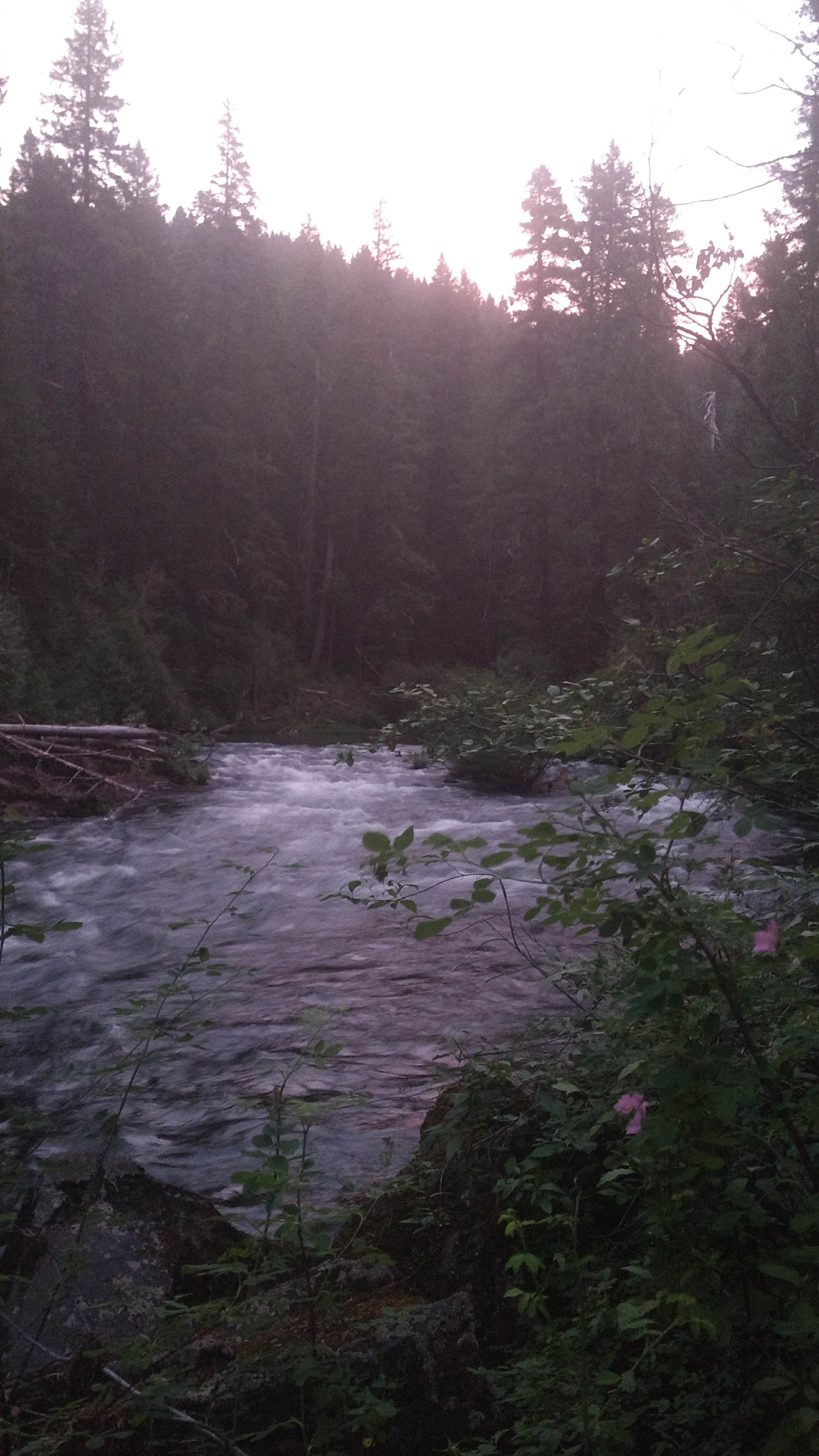 Camper-submitted photo at Farewell Bend Campground near Prospect, OR