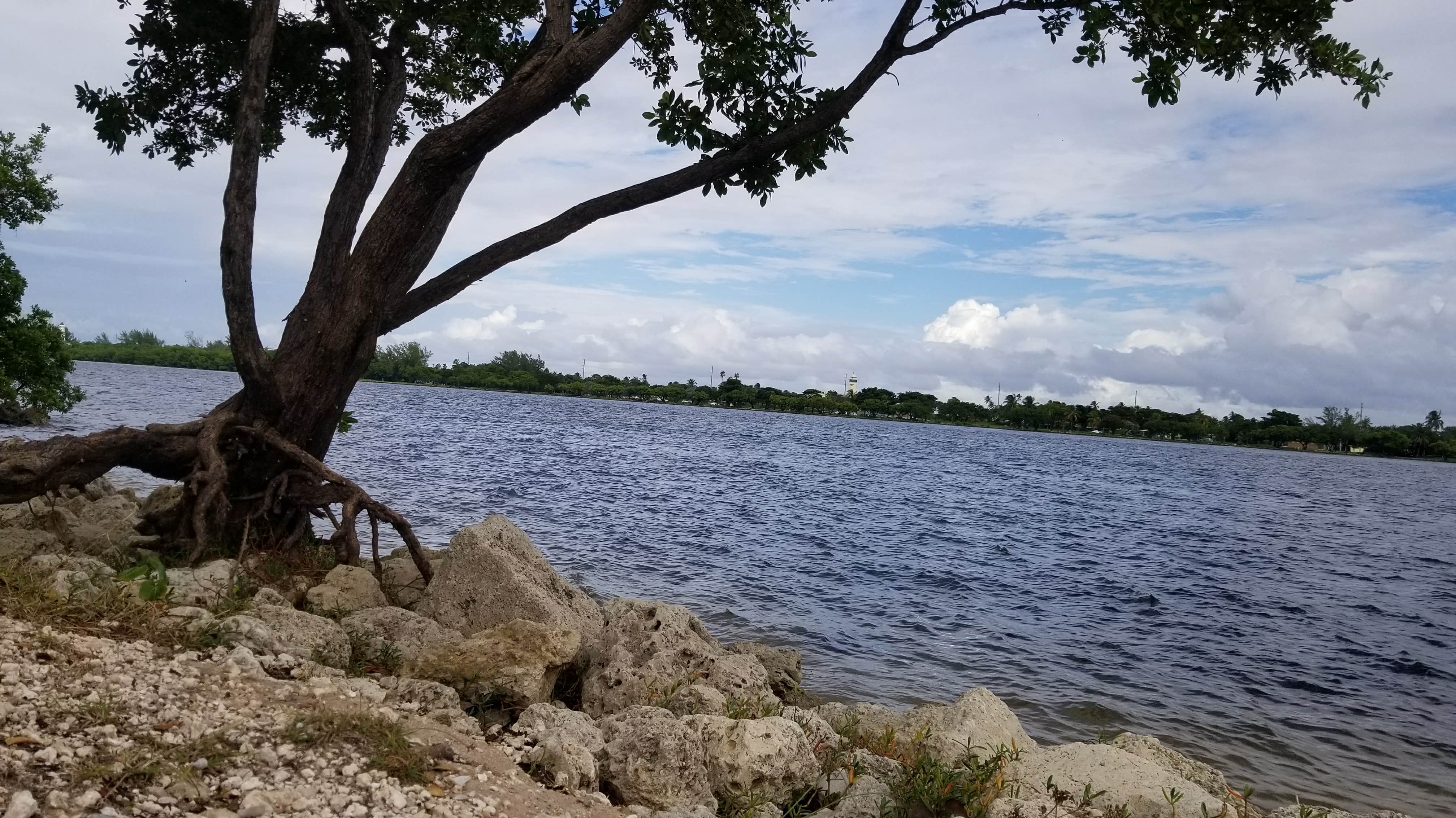 Camper submitted image from Oleta River State Park Campground - 4
