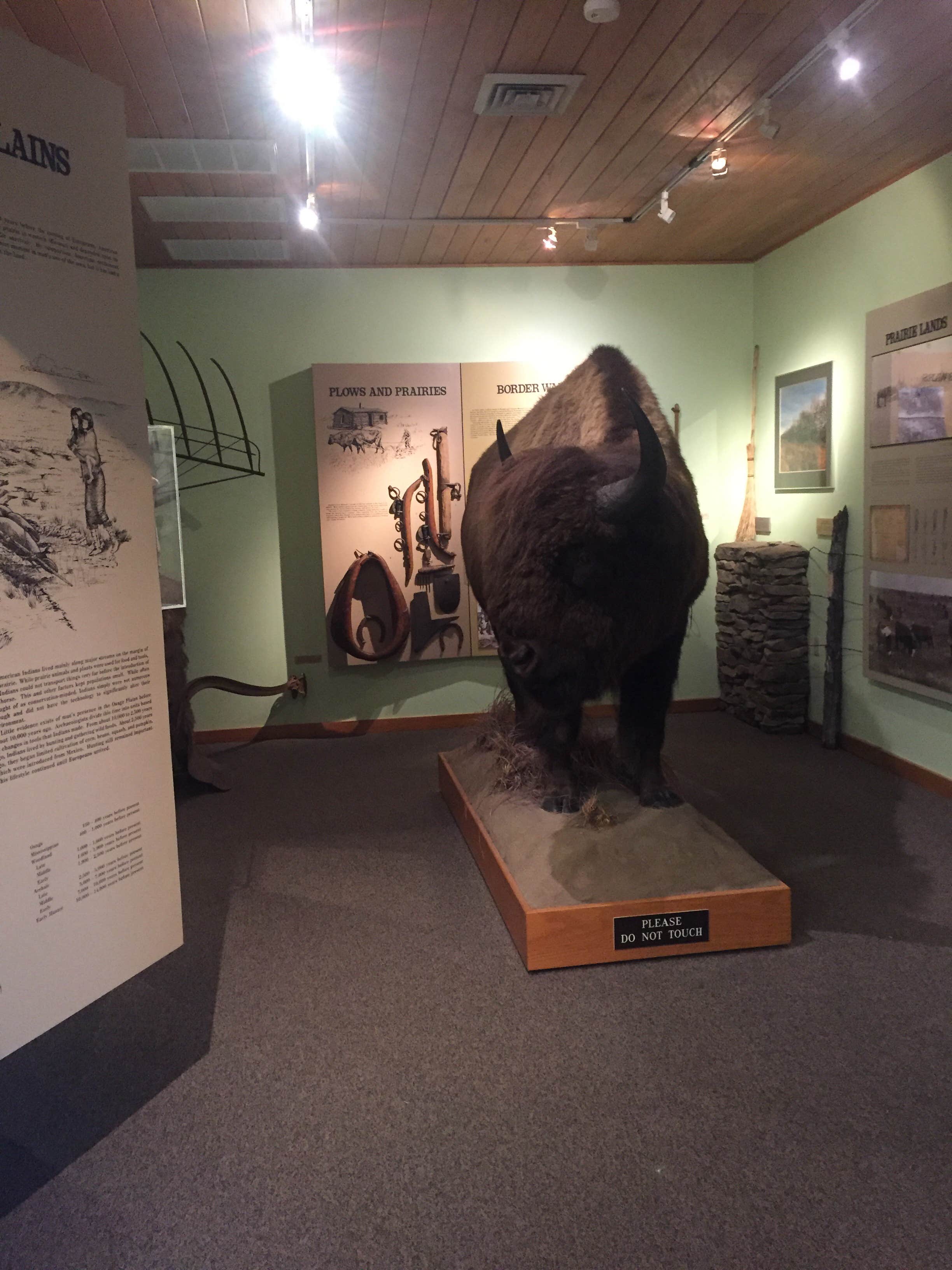 Camper-submitted photo at Prairie State Park Campground near Fort Scott, KS