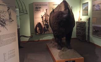 Wendy M.'s photo of camping with pets at Prairie State Park Campground near Stockton, MO