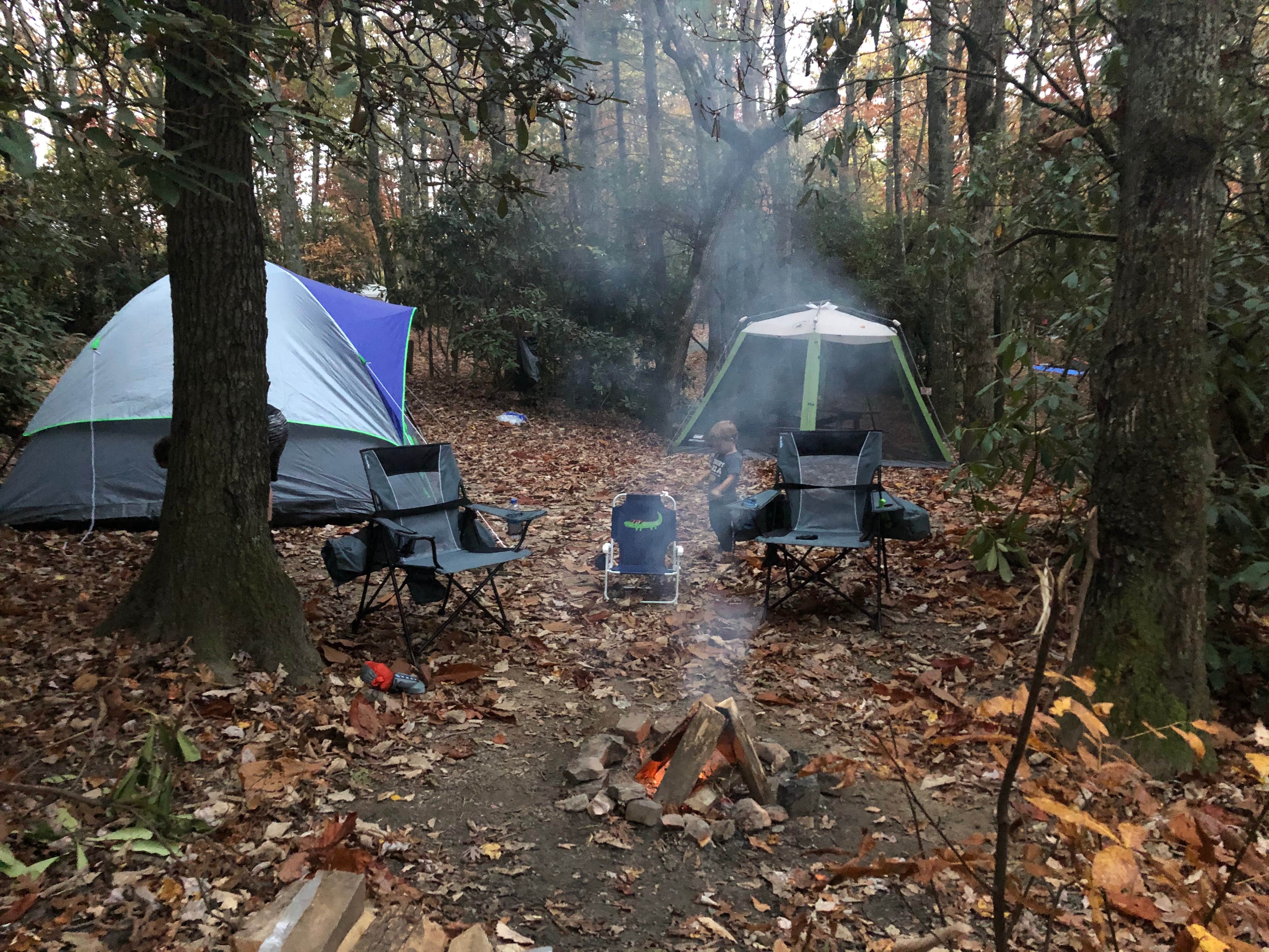 Cutler’s's photo at Spacious Skies Bear Den near Spruce Pine, NC