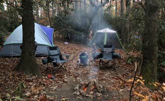 Cutler’s's photo at Spacious Skies Bear Den near Spruce Pine, NC