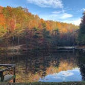 Review photo of Spacious Skies Bear Den by Cutler’s , October 25, 2020