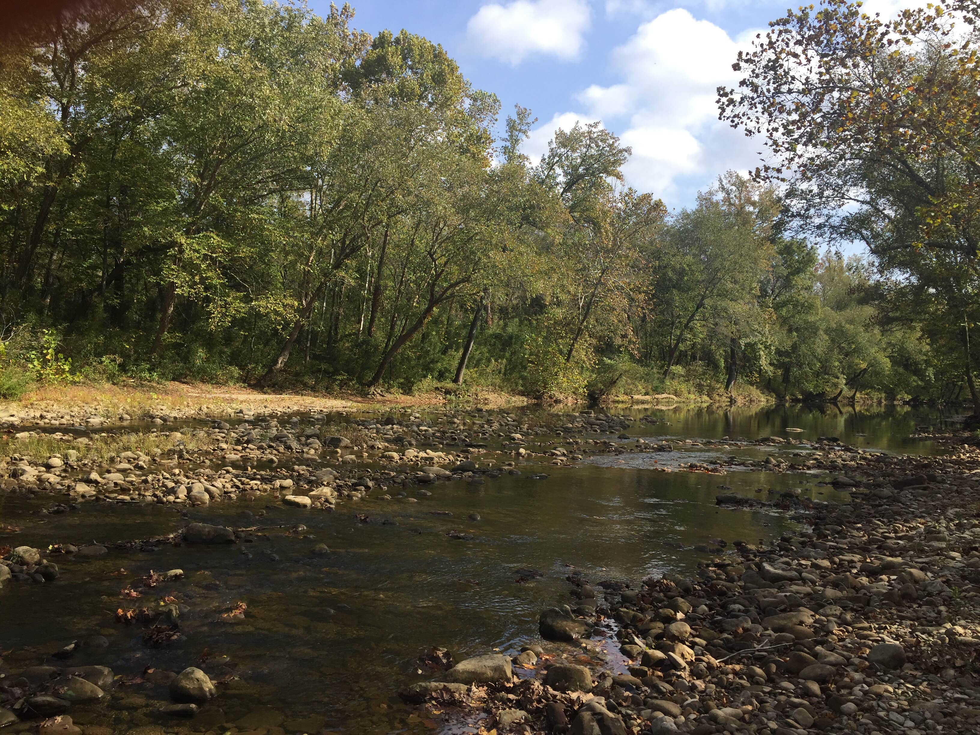 Camper submitted image from Erbie Campground — Buffalo National River - 4