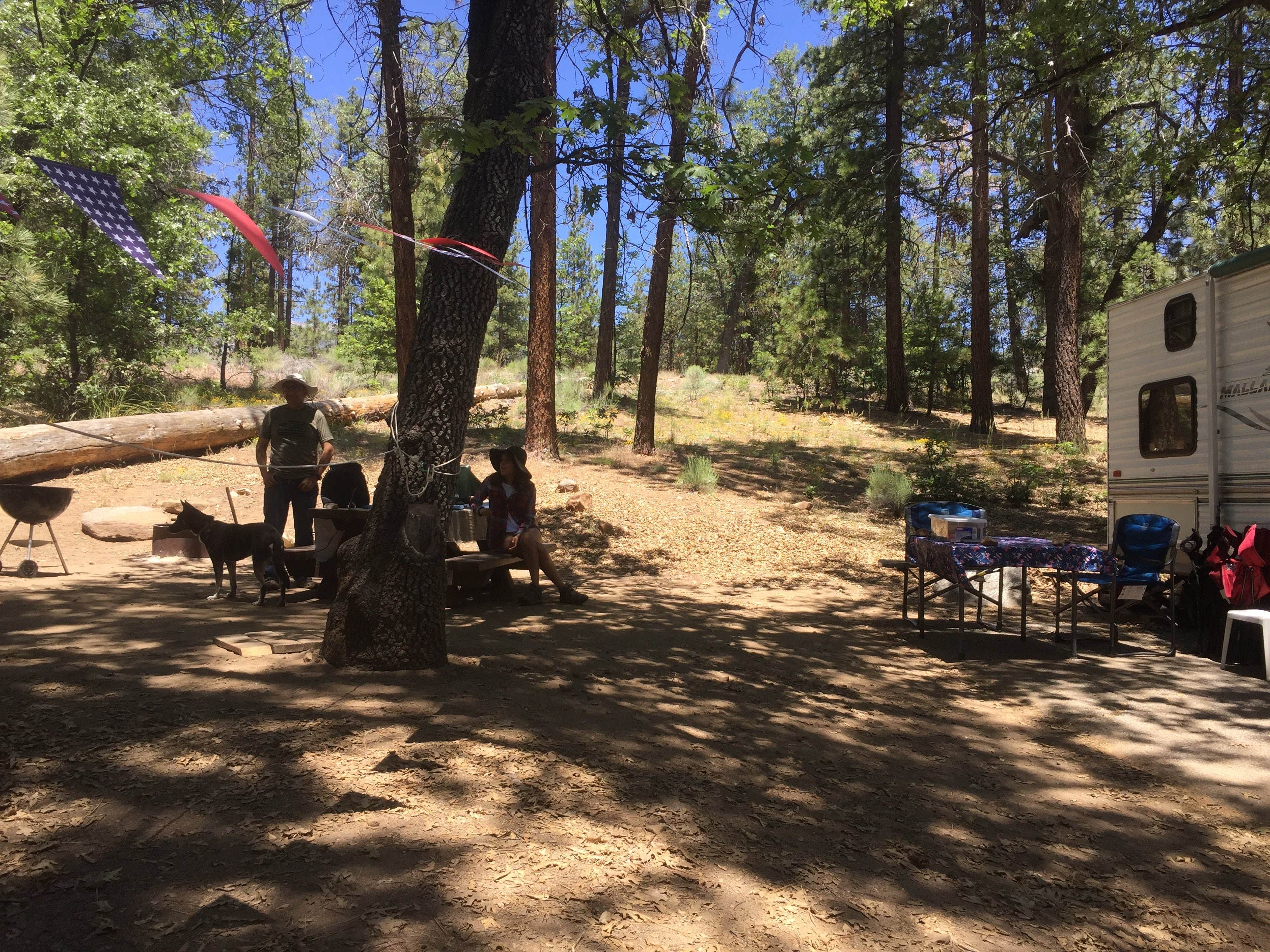 Jonathan G.'s photo of camping with pets at Barton Flats Family Campground near Big Bear Lake, CA