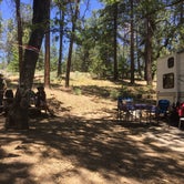 Review photo of Barton Flats Family Campground by Jonathan G., October 25, 2020