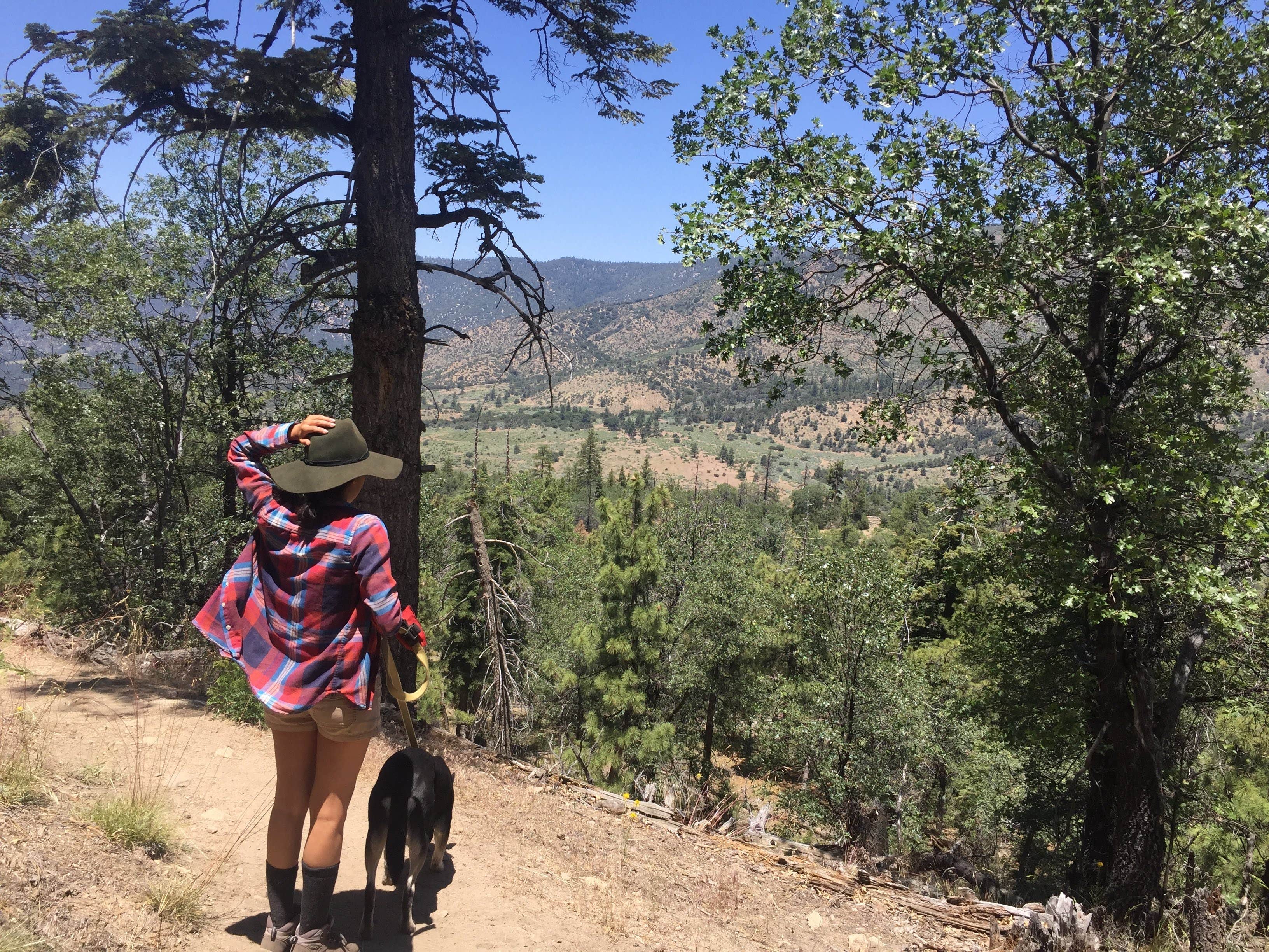 Camper submitted image from Barton Flats Family Campground - 3