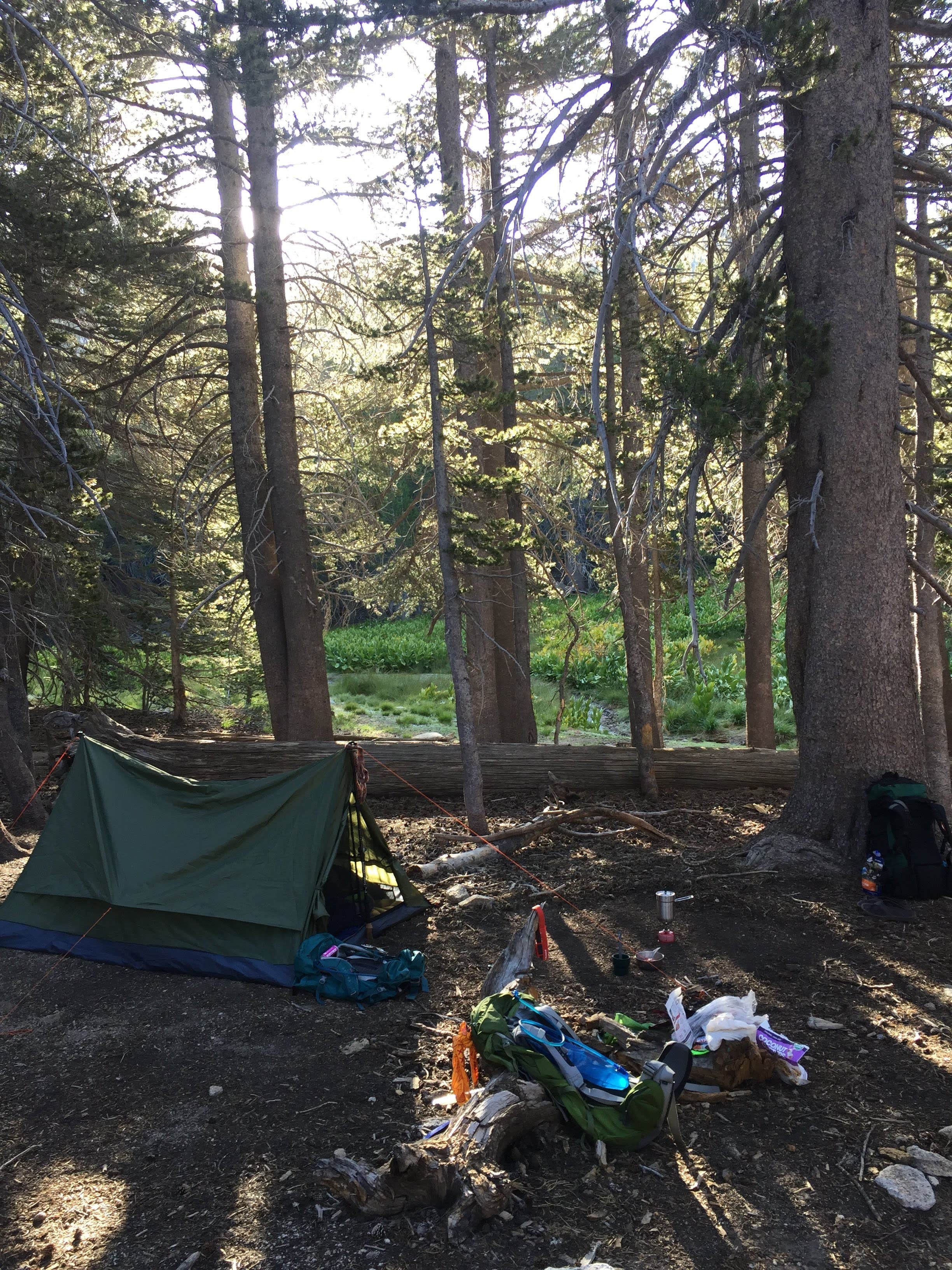Camper submitted image from Little Round Valley — Mount San Jacinto State Park - 2