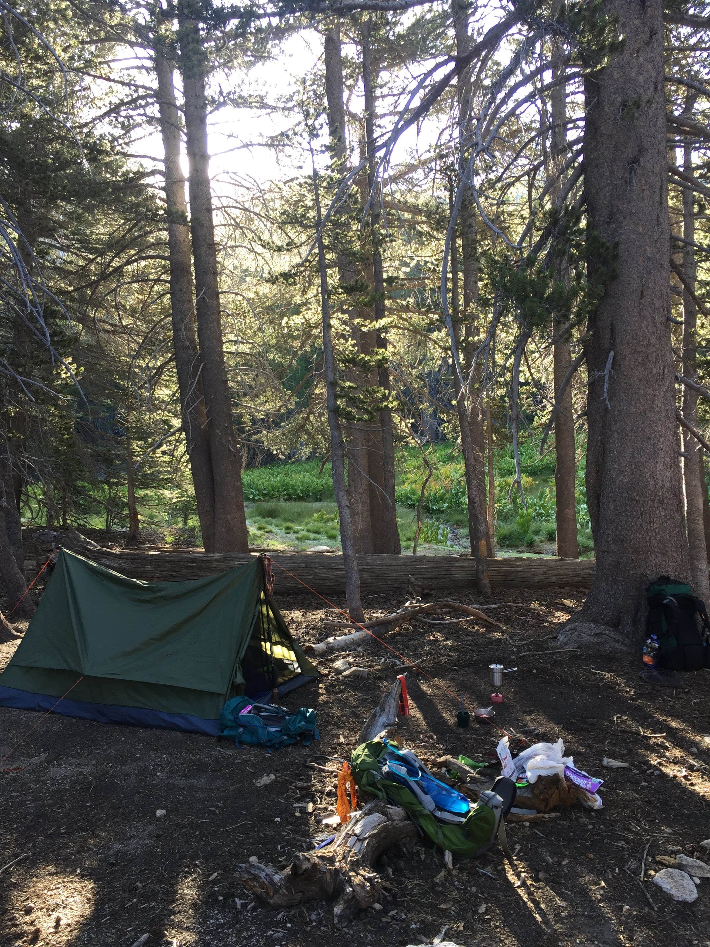 Camper submitted image from Little Round Valley - Mt San Jacinto State Park - 2