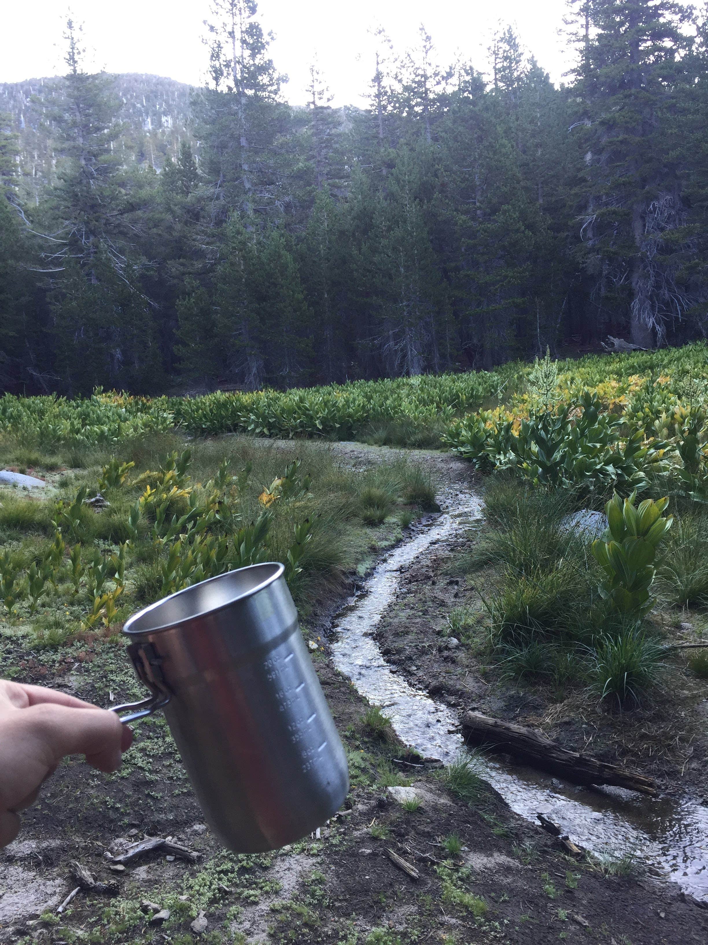 Camper submitted image from Little Round Valley - Mt San Jacinto State Park - 1