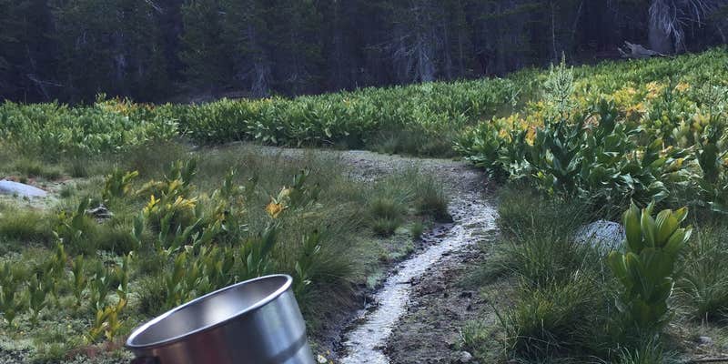 Camper submitted image from Little Round Valley — Mount San Jacinto State Park