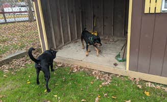 Julie's photo of camping with pets at Great Divide Campground near New York City, NY