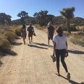 Review photo of Black Rock Campground — Joshua Tree National Park by Jonathan G., October 25, 2020