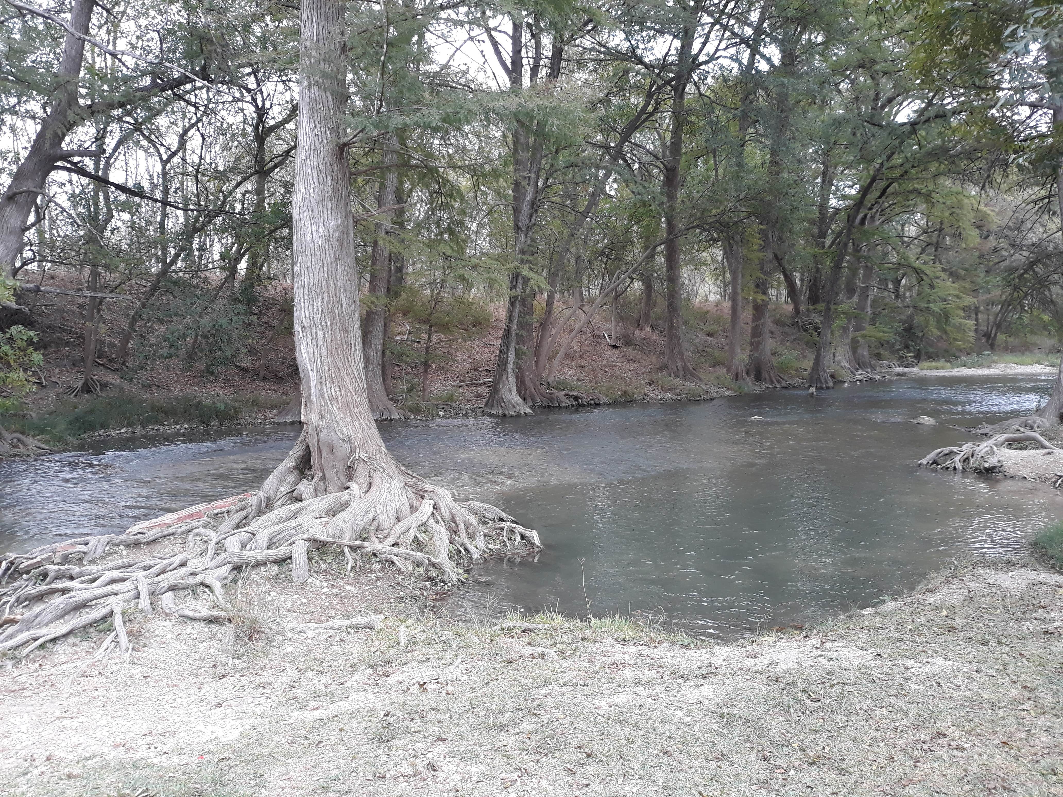 Camper-submitted photo at Castroville Regional Park near Castroville, TX